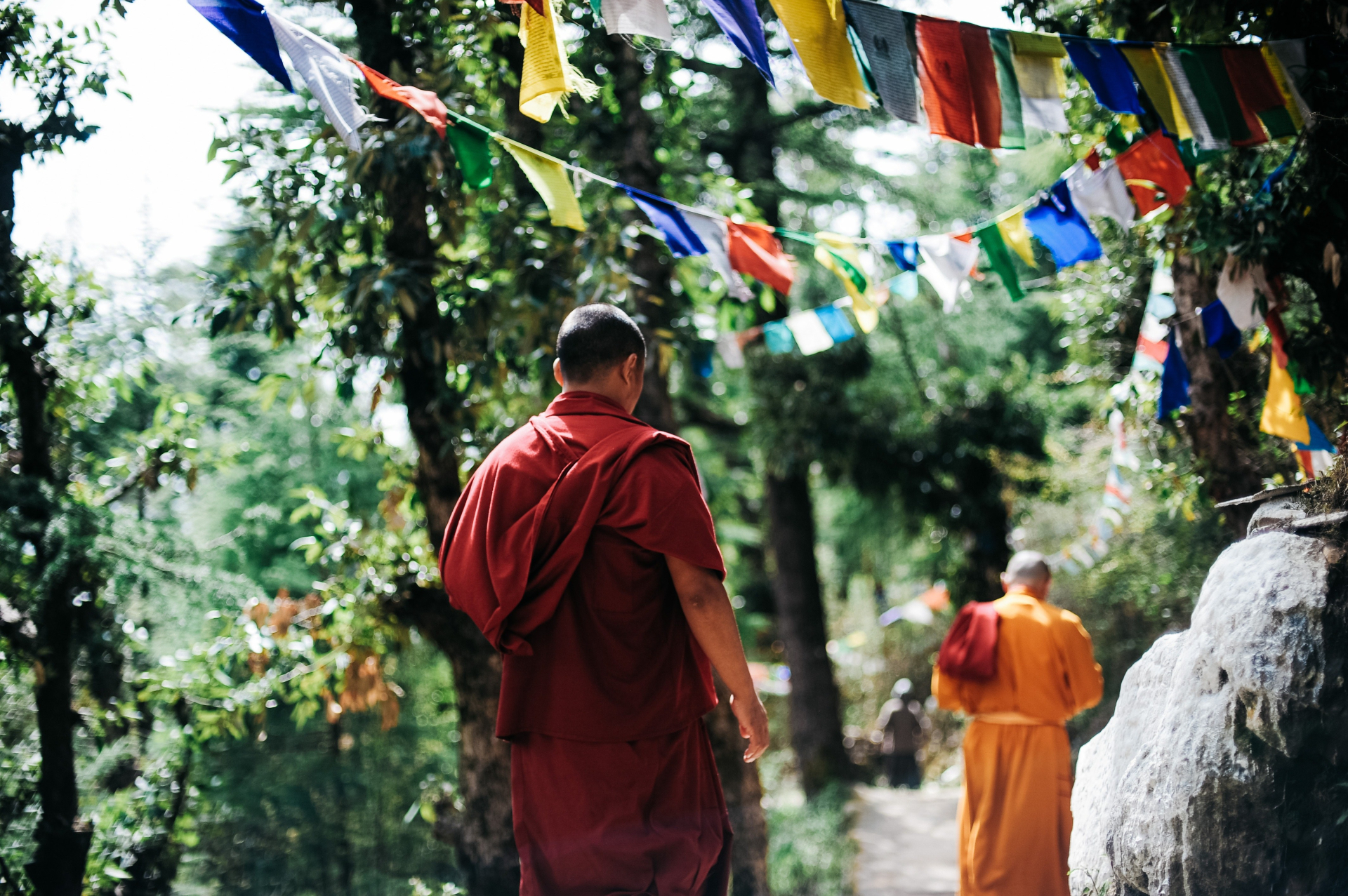 Pexels nepal