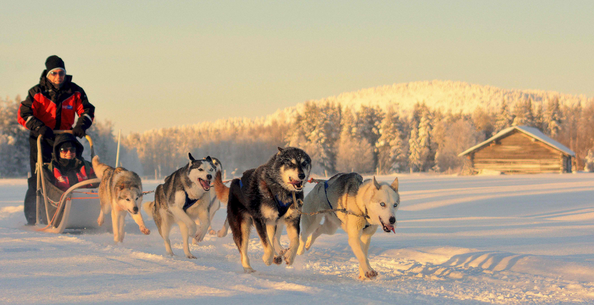 Husky ride