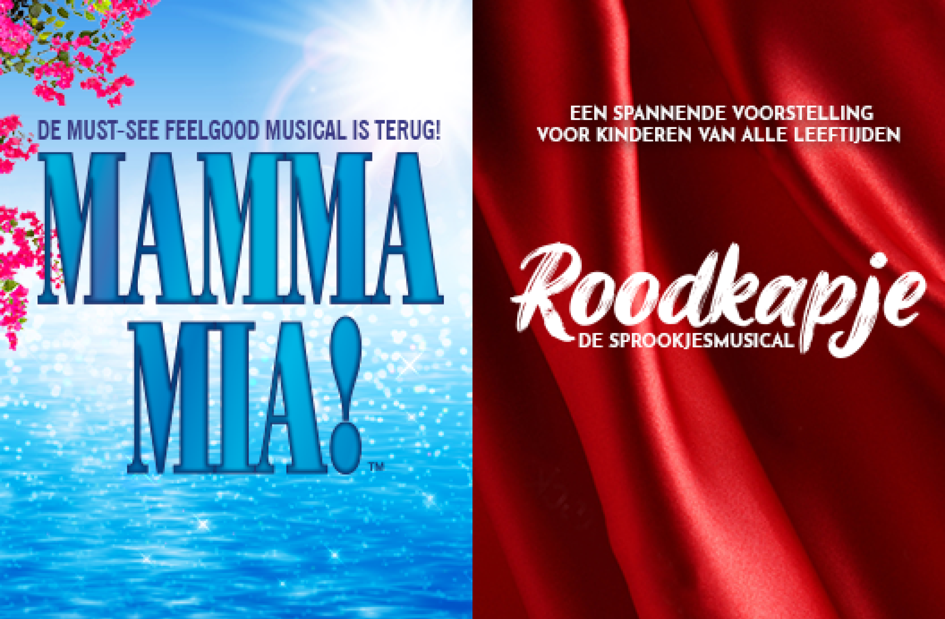 DB Vrouwennet 528x346