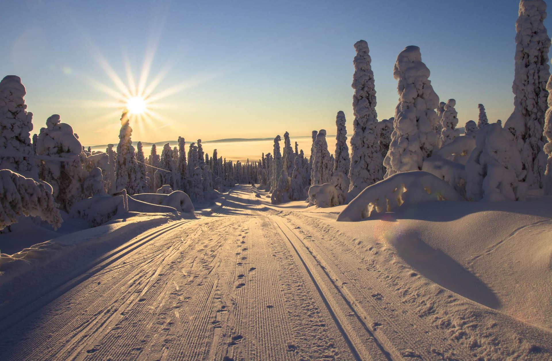 Markantmagazine december 2024 lapland en oslo3