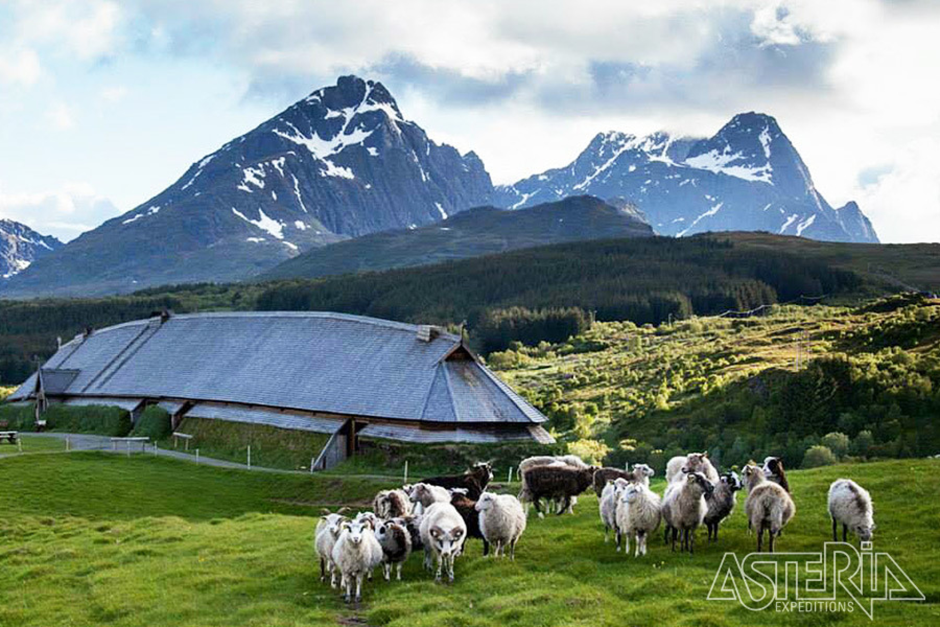 Het Lofotr Viking Museum in Borg is ondergebracht in een typische longhouse van 83 m lang