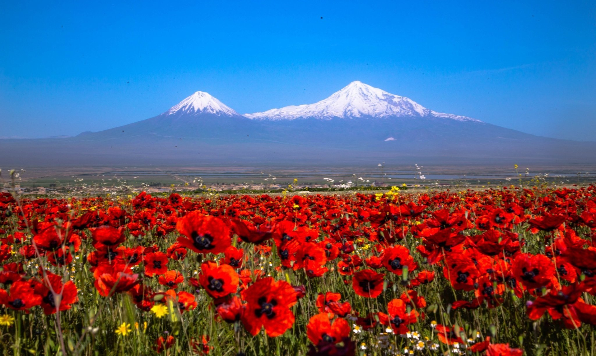 Armenië Ararat mei 2026 Markant reizen