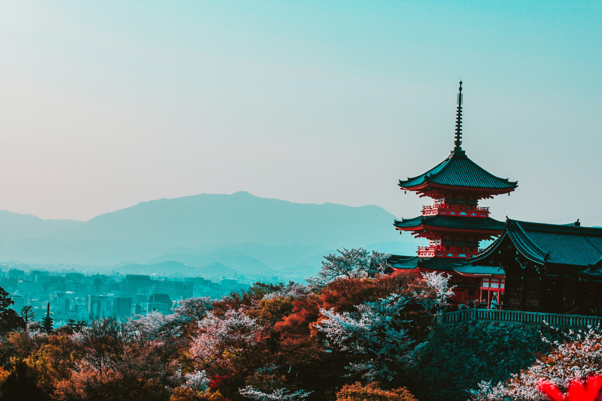 Japan in het gouden seizoen - oktober 2025 - Markante reizen