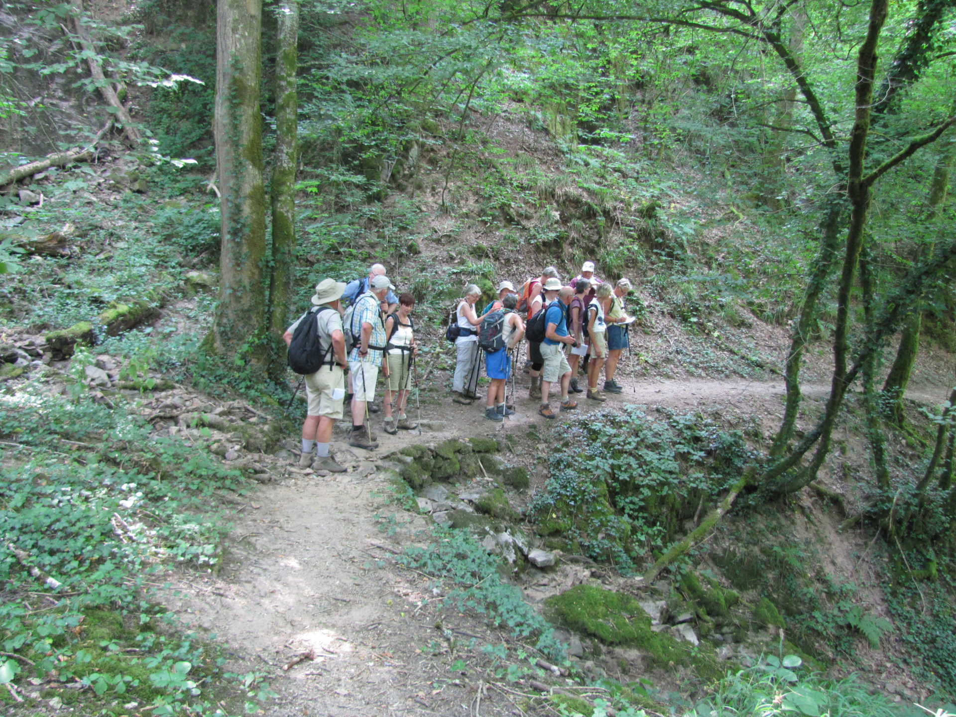 Markant Pelgrimstocht 2026 Tussen wijngaarden en abdijen in de voetsporen van de Cisterciënzers 3