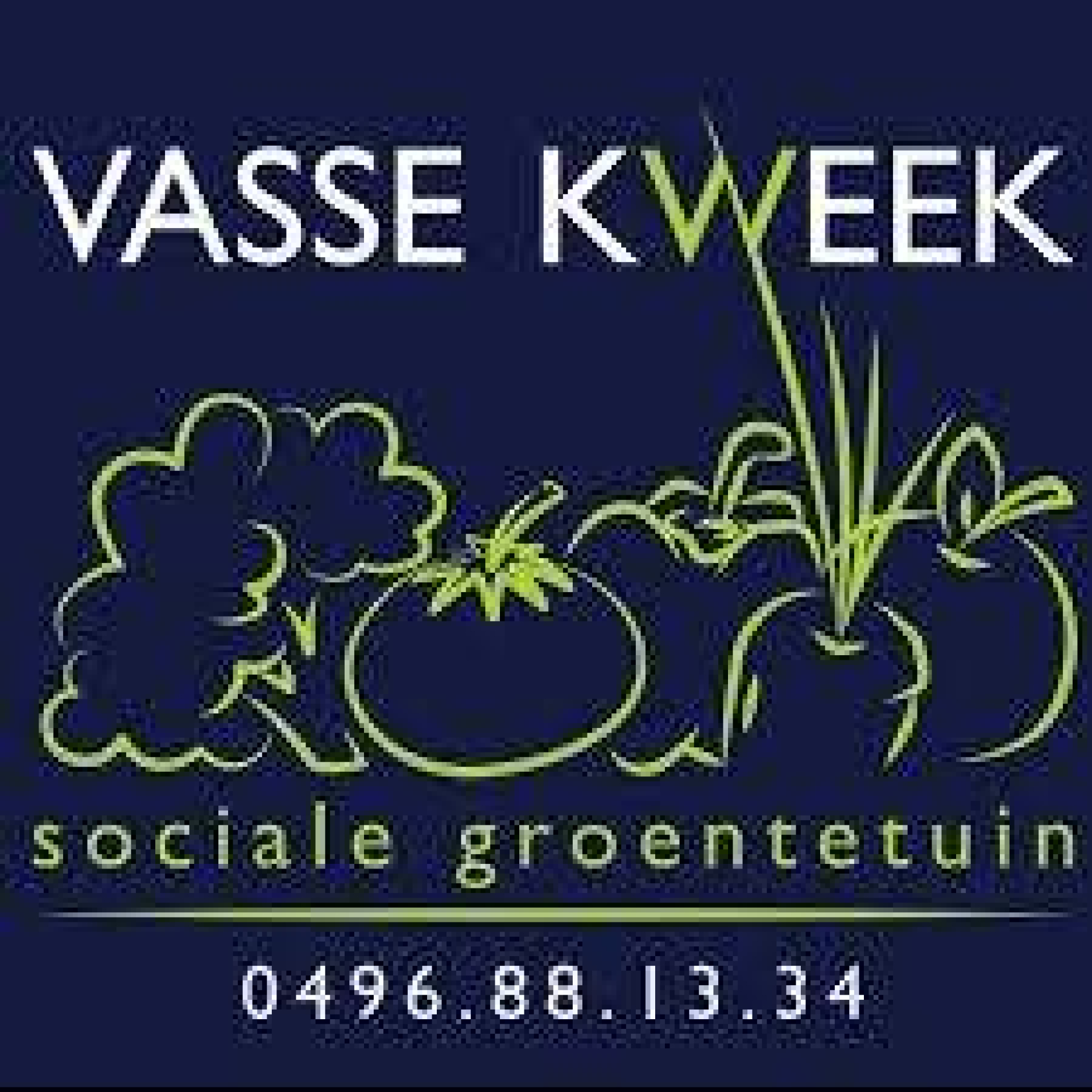 Vasse kweek